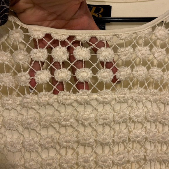 Anthropologie Sachin + Babi Daisy Lace Shift Dress - Picture 6 of 6